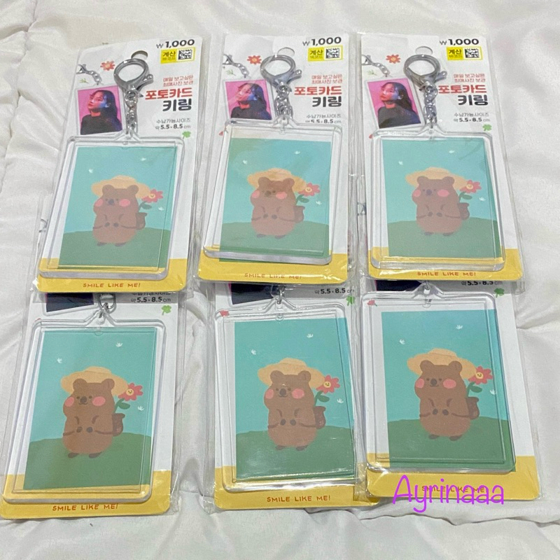 Ready Transparent Photocard Holder Daiso
