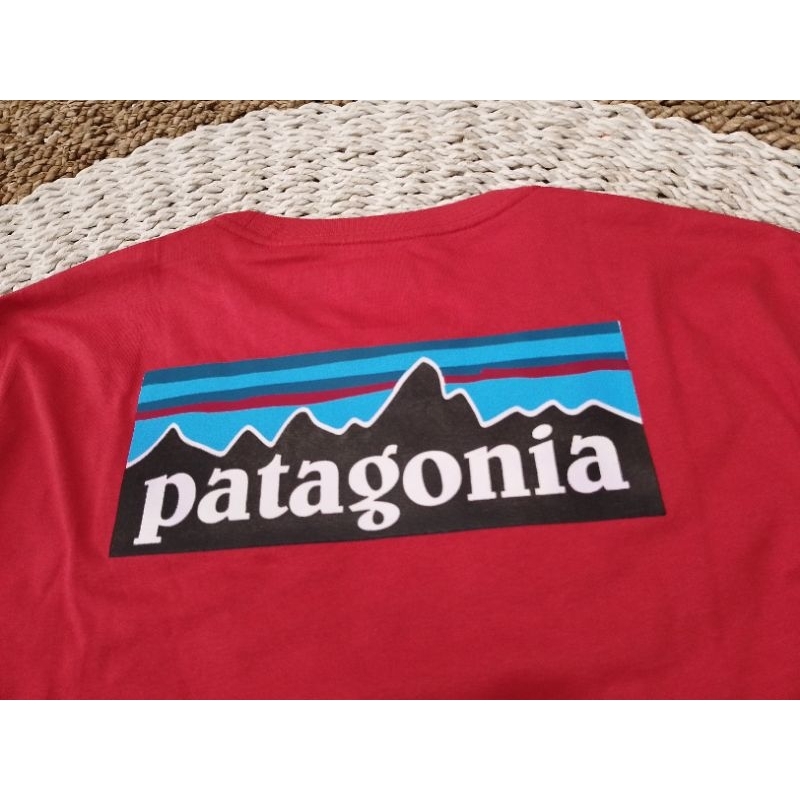 Patagonia T-shirt