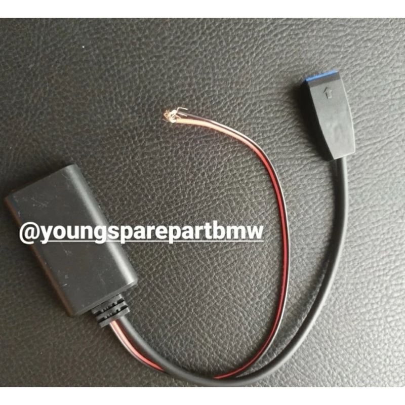 Module Bluetooth BMW E46 E39 E53 E36 Head Unit Original Business CD