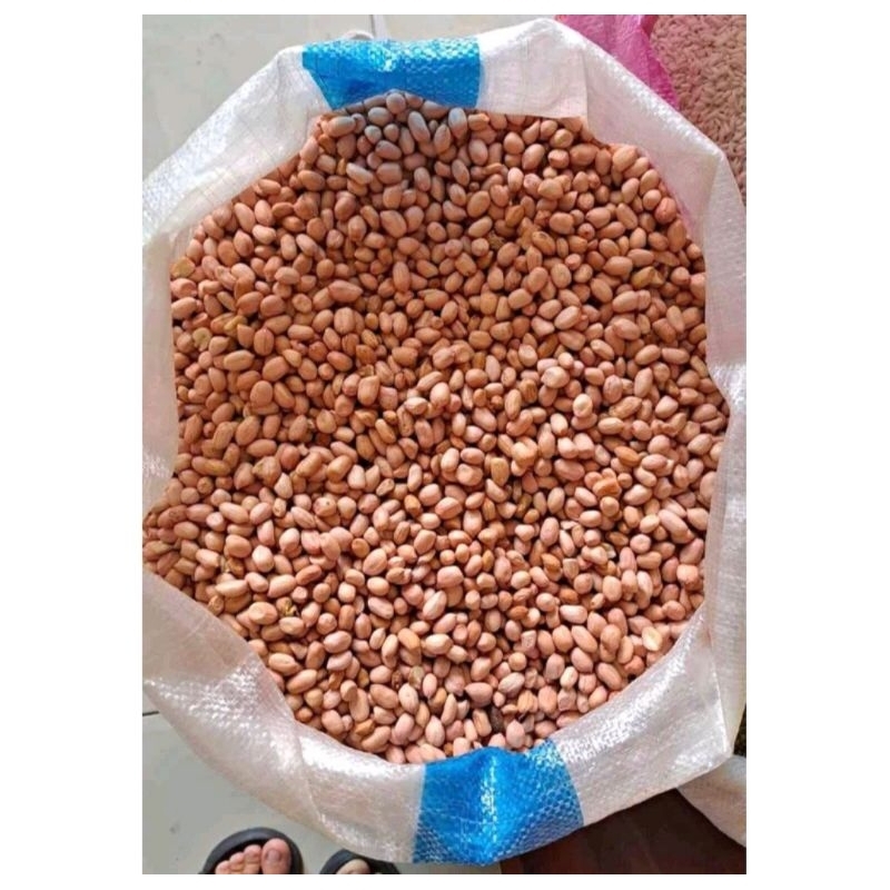 

kacang tanah premium