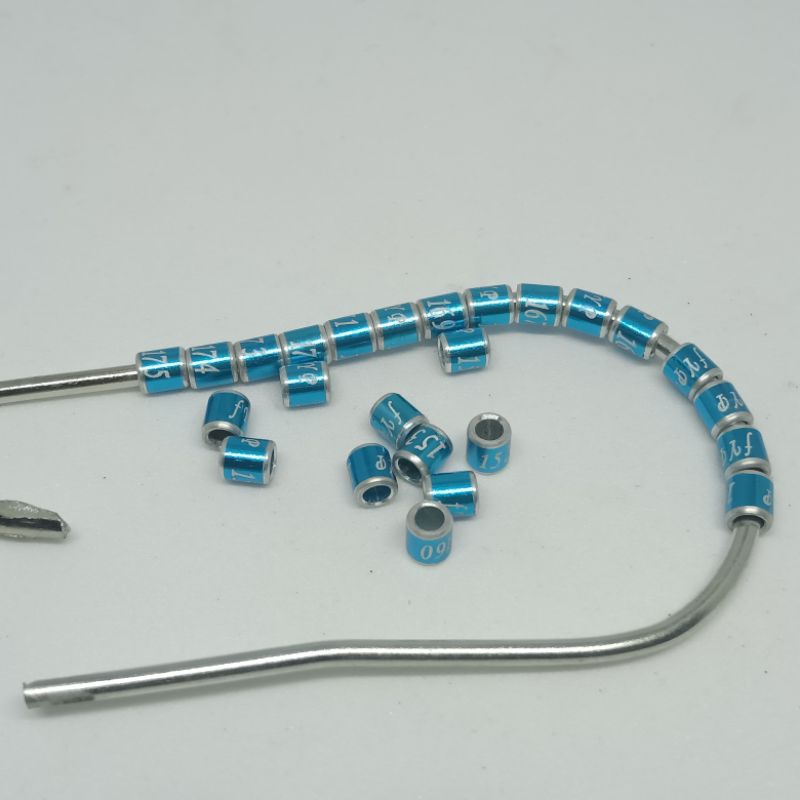 ring  konin,kolibri,pleci prenjak 2.5mm