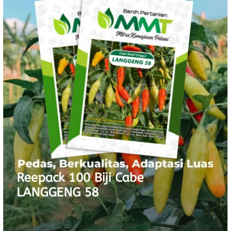 100 Biji Cabe Langgeng 58 | Benih Cabai Rawit | Benih Sayuran
