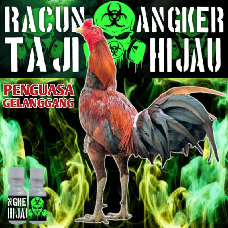 Racun ayam sabung gelanggang arena di jamin menang KUASAI GELANGGANG Racun Angker Taji Hijau