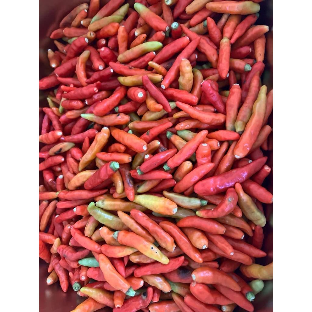 

CABE RAWIT PETIK TANGKAI 500 GR & 1 KG