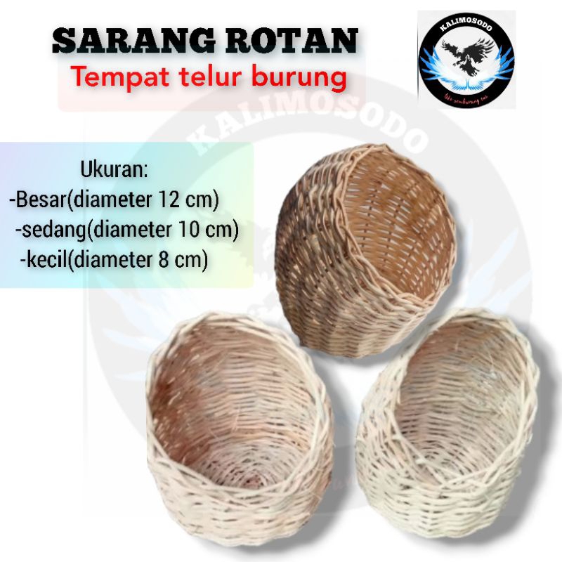 Sarang rotan gowok tempat telur burung