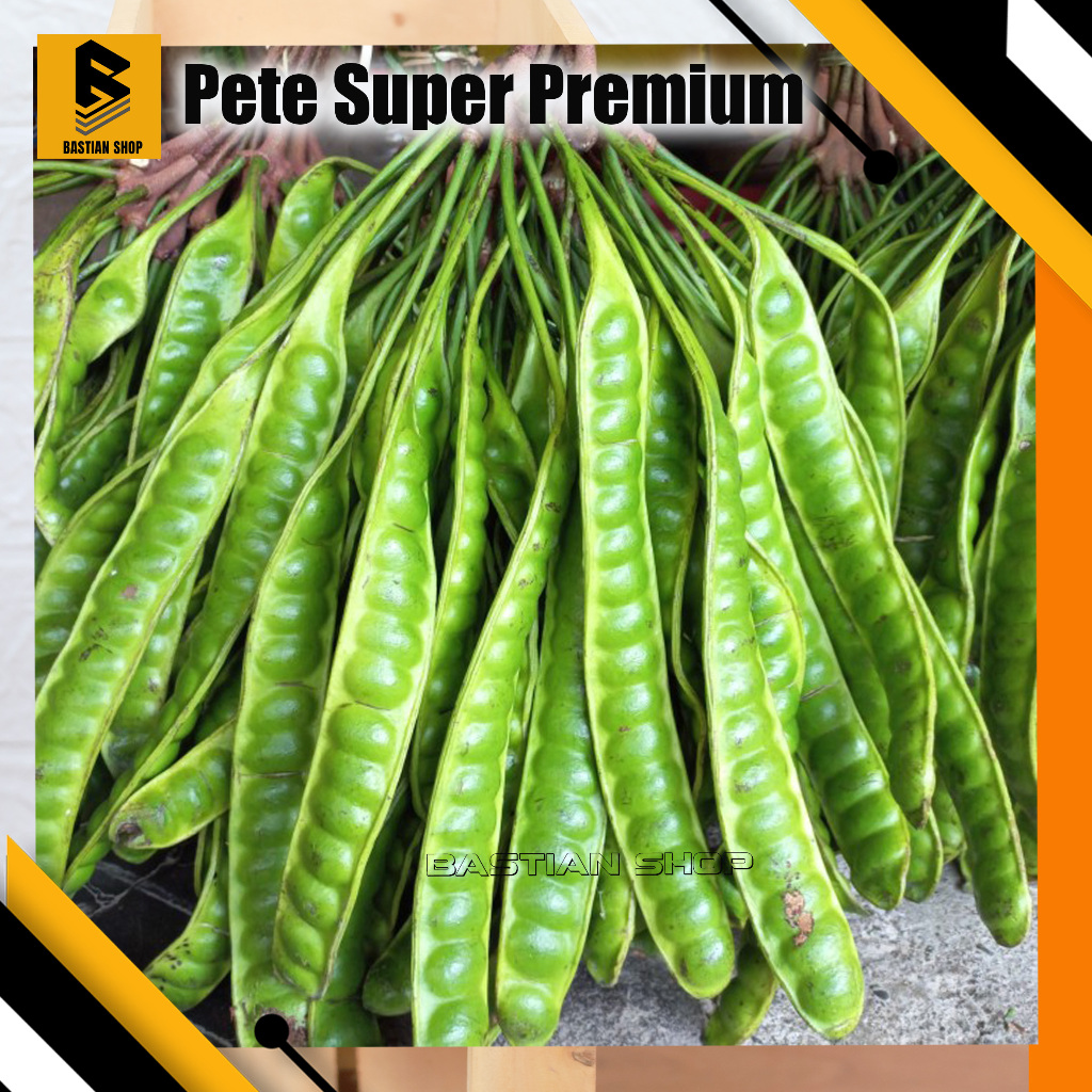 

Pete fres Kualitas Super perpapan kualitas Premium Panjang pilihan langsung petik