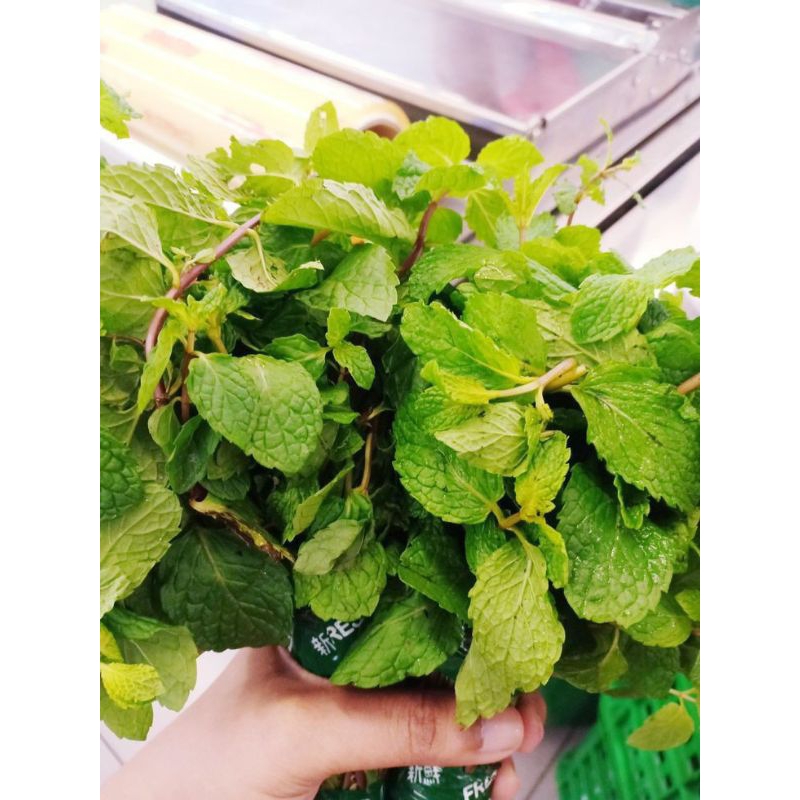 

daun mint atau daun kresmen 500gr