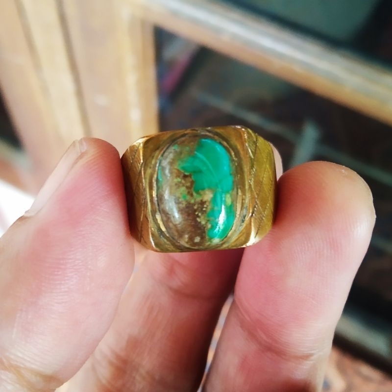 Pirus Persia Mini Ijo Lawasan (Sepuh)