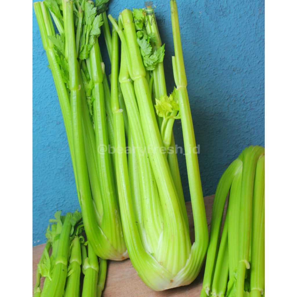 

Celery Import (Batang Besar)