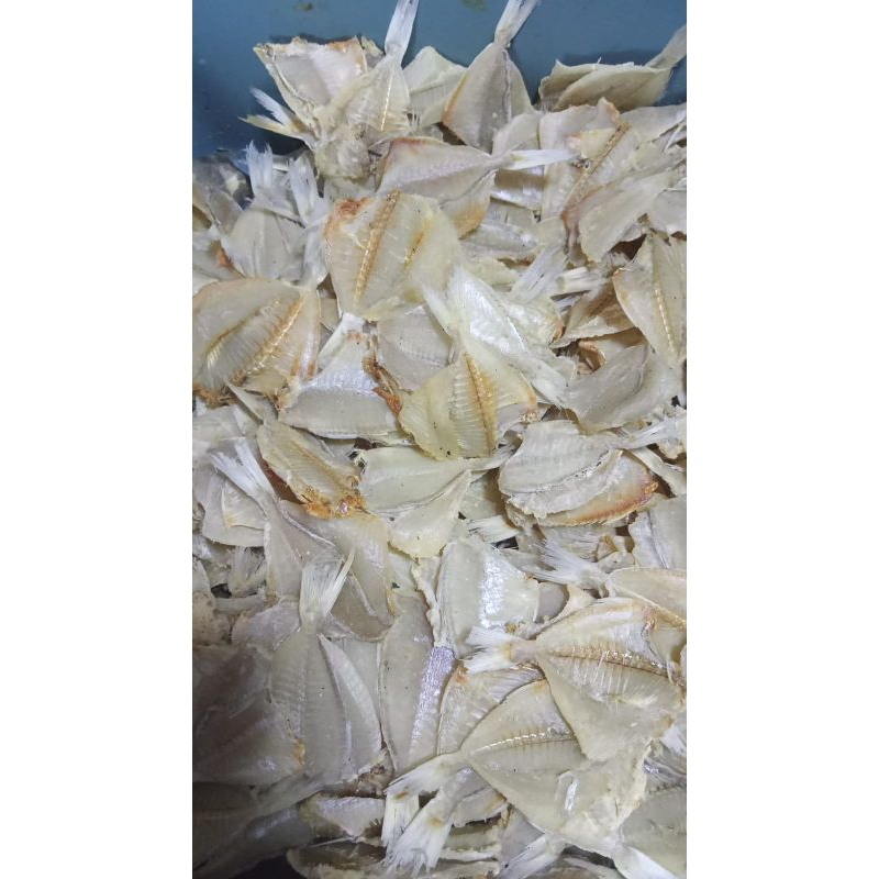 

IKAN ASIN SEGAR/ENAK HALAL SERBA 4000