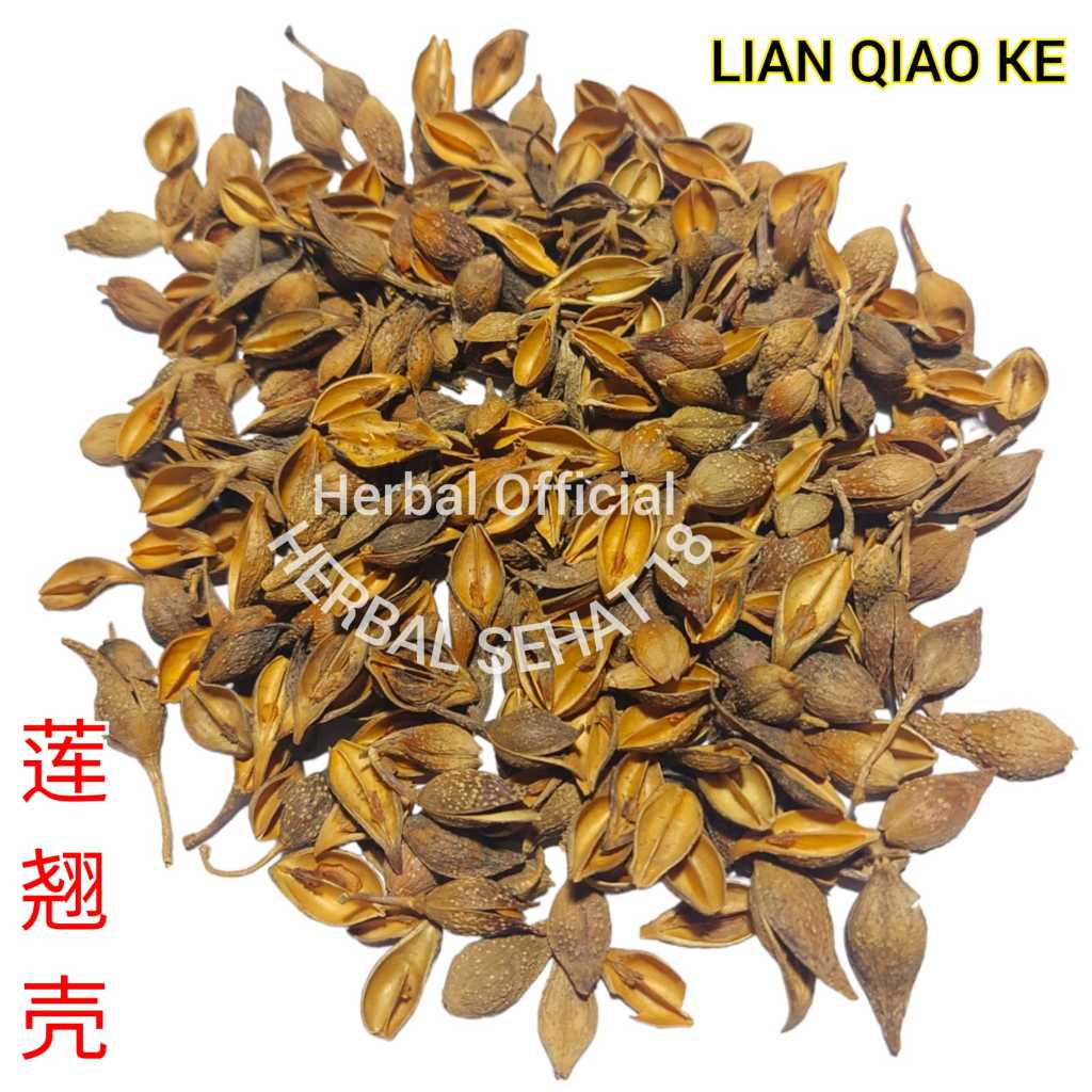

300 gr - Lian Qiao Ke / Chiao / Lianqiao / Lien Qiao / Forsythia Suspensa Fruit
