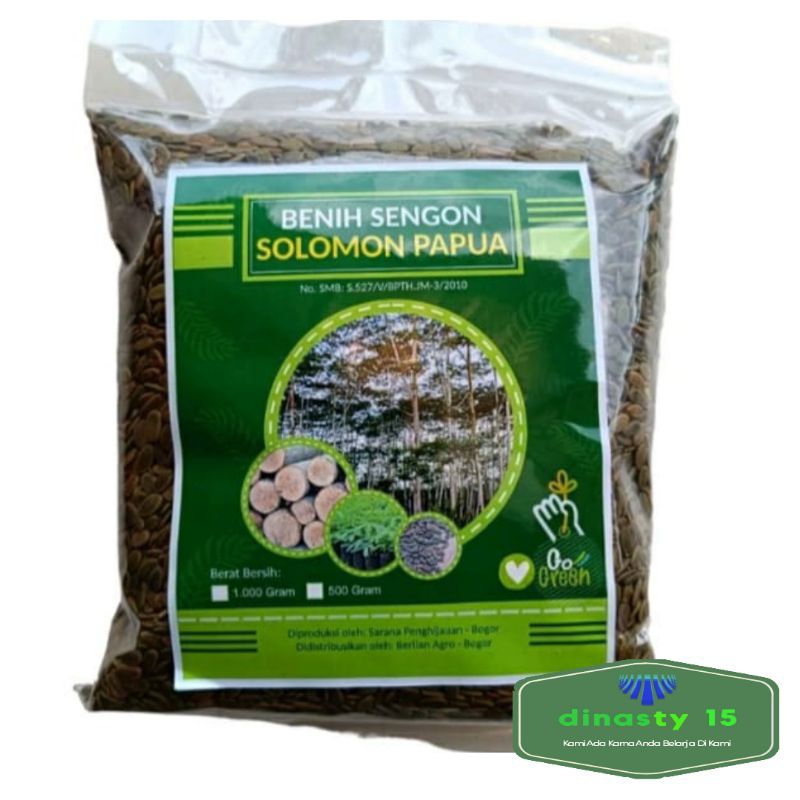 BENIH SENGON SOLOMON PAPUA 1000Gram Bibit SENGON SOLOMON Benih Sengon