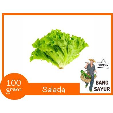 

KIRIM INSTAN Selada 100 gram