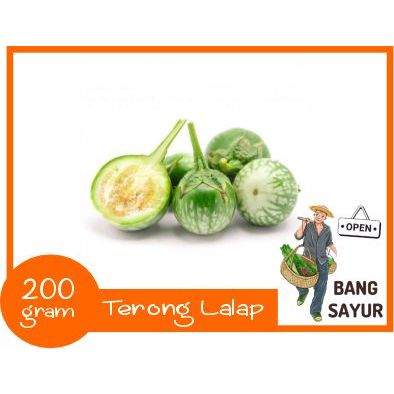 

KIRIM INSTAN Terong Lalap 200 gram