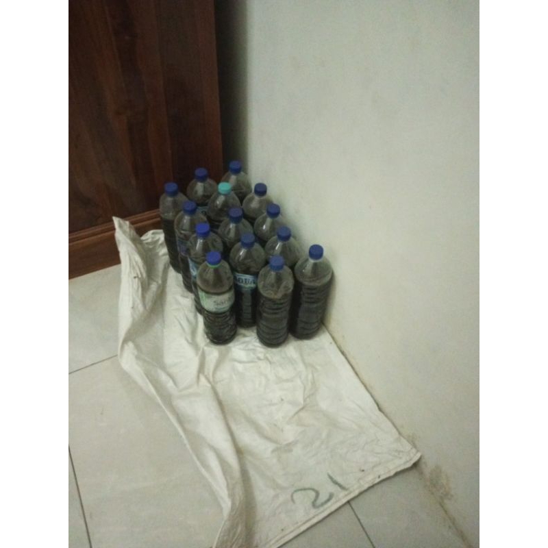 

madu jember