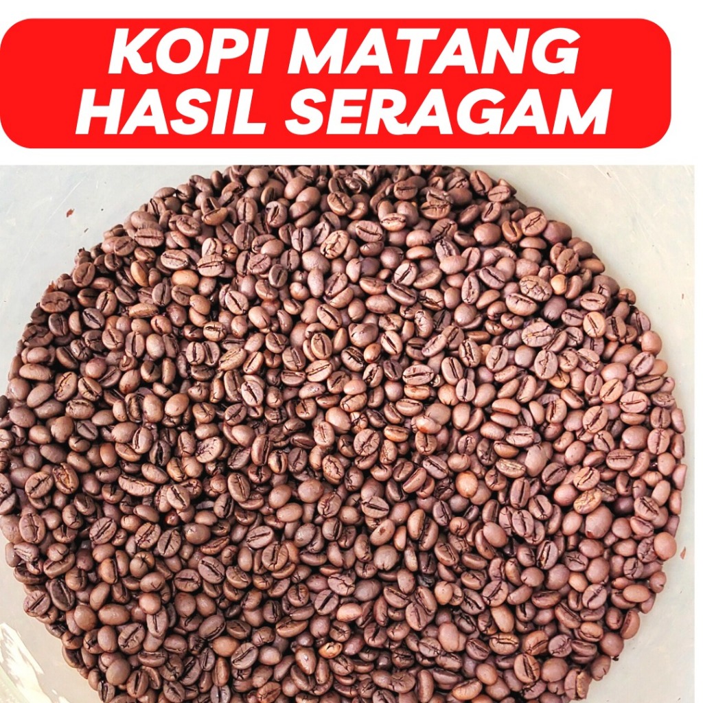 

BIJI KOPI ROBUSTA TEMANGGUNG 500 GR PREMIUM MURNI ASLI 100%