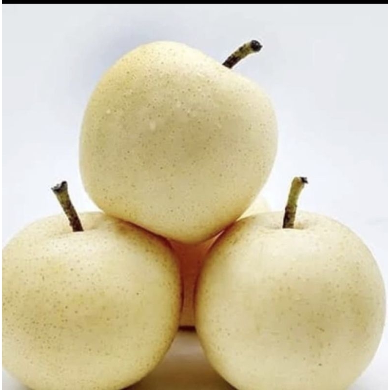 

PIR MADU / PIR CENTURY / PIR MANIS BANYAK AIRNYA