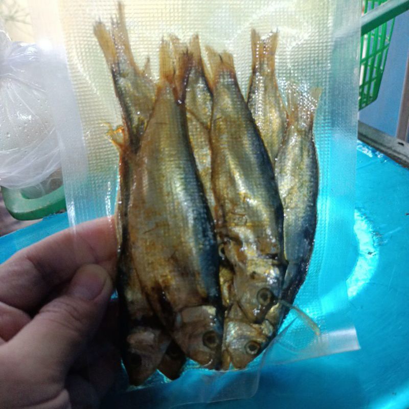 

Ikan Asin Tembang Besar 100gr