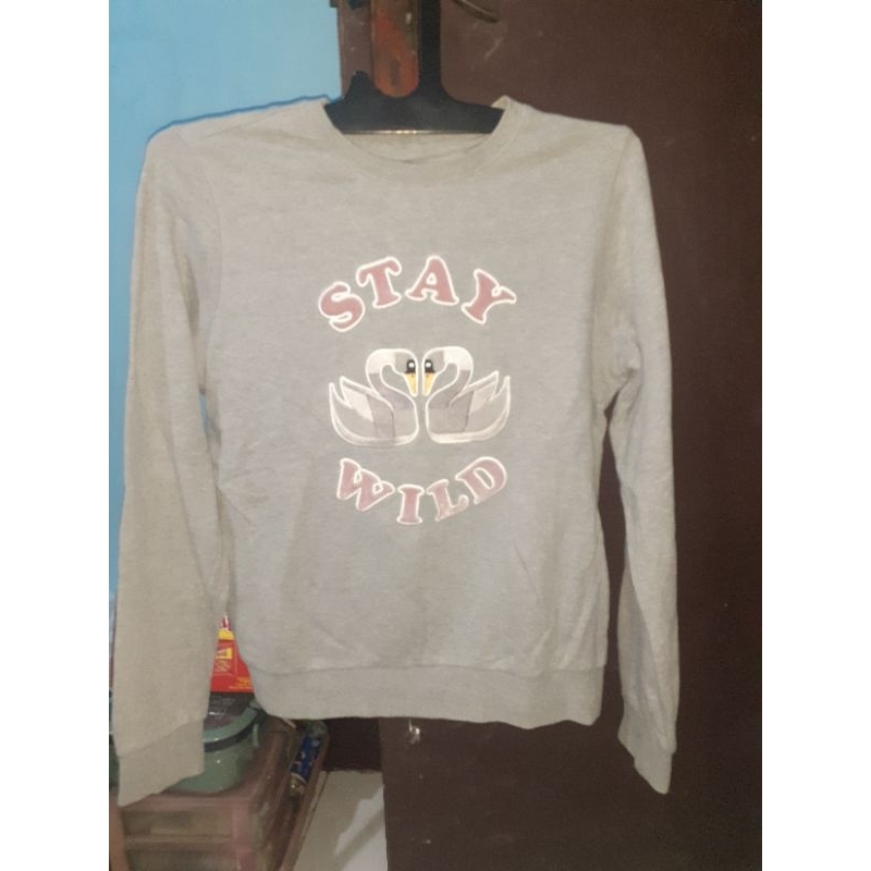 Pancoat sweater
