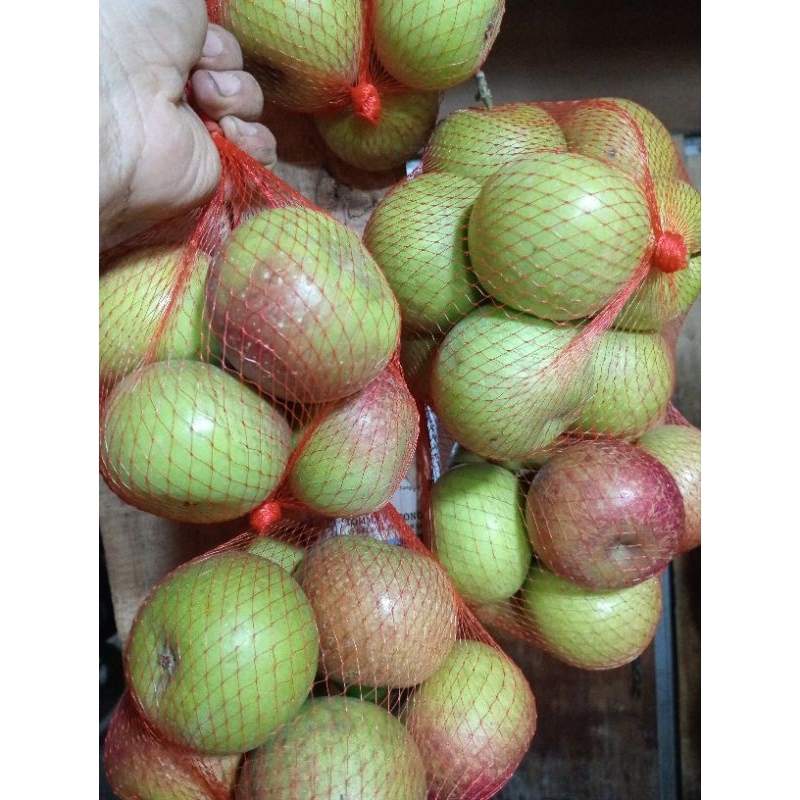 

Apel malang/apel hijau (500g)