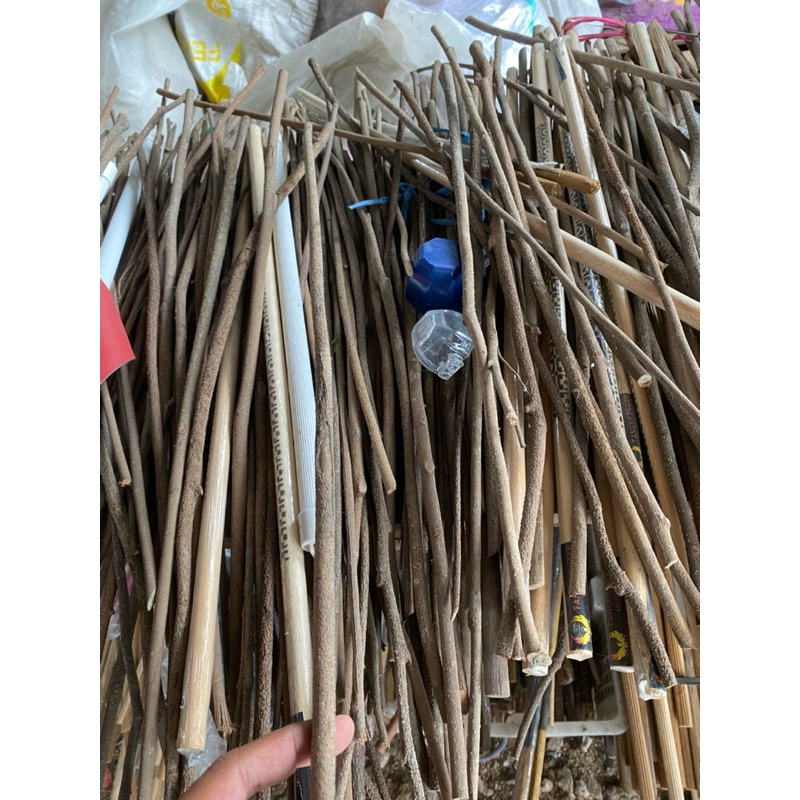 tangkringan // pangkringan burung kayu ASEM JAWA