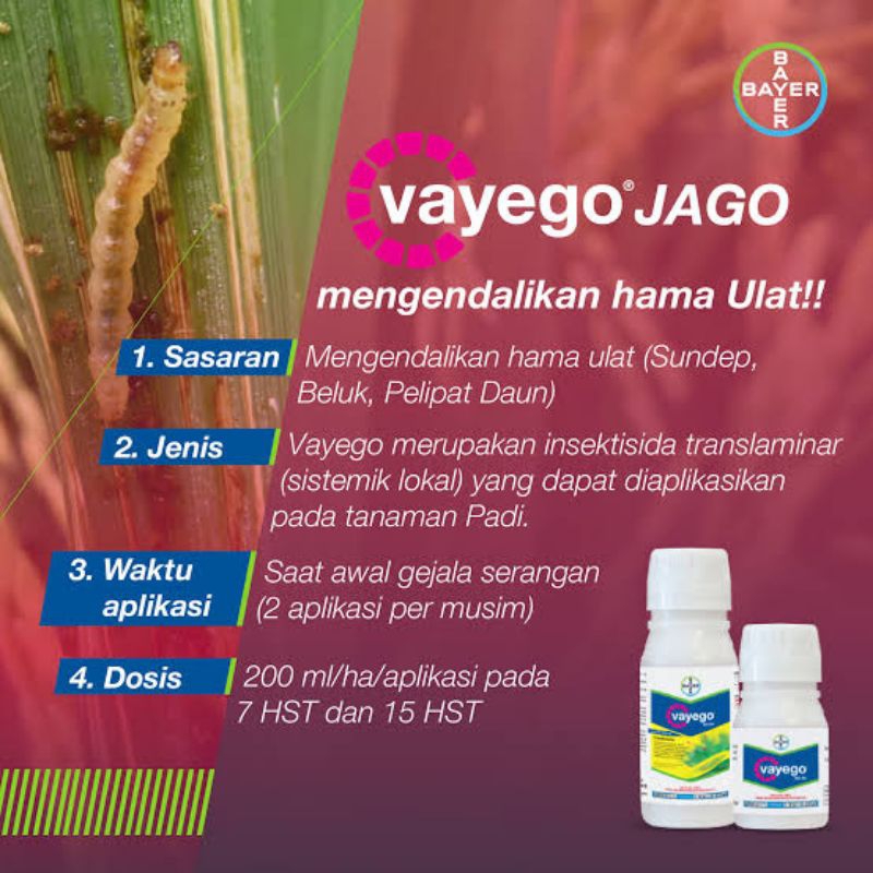 Insektisida Vayego