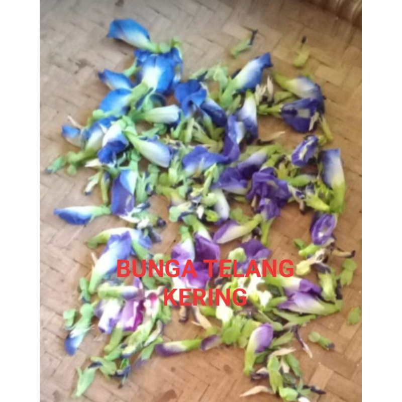 

TEH BUNGA TELANK KERING