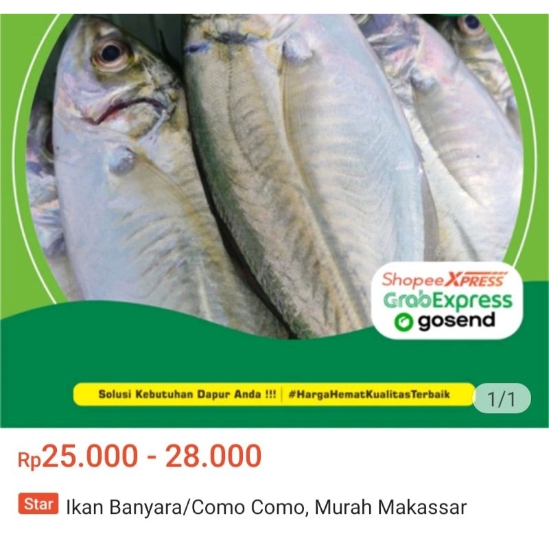 

ikan banyara atau como como