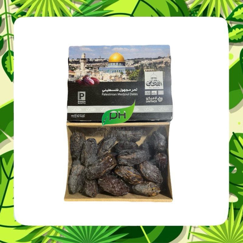 

Kurma Medjoul 500gram Jumbo Palestin Palestine Mejool Jumbo Natural Medjoul Dates
