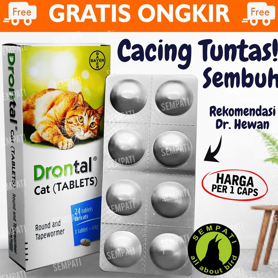 11 FLASH SALE Drontal Cat Obat Cacing Kucing Kitten Obat Kucing Cacingan Anak Anakan Dewasa Cat Kitt