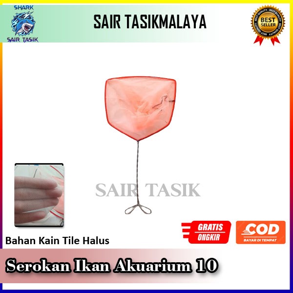 SEROKAN CUPANG/ SESER KUTIR 10CM