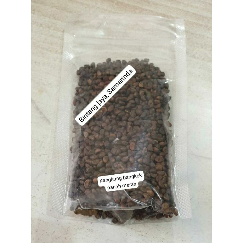 Benih Kangkung Bangkok Panah Merah.