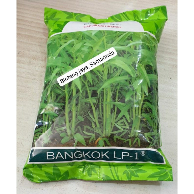 Benih Kangkung Bangkok Panah Merah