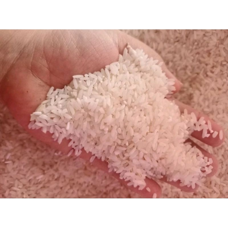 

BERAS 1 KG LOKAL PETANI JATIM