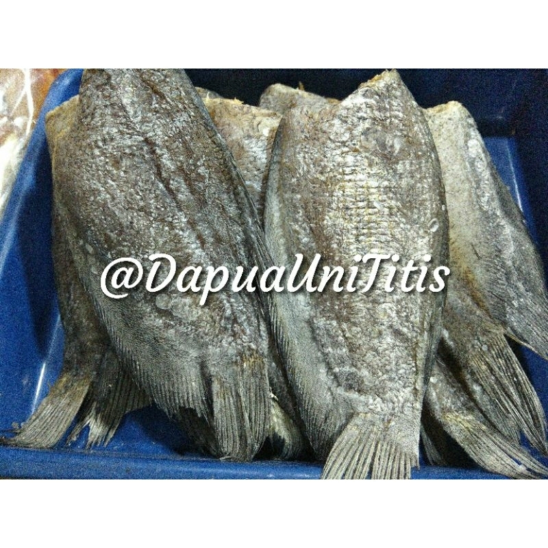 

Maco Sapek Sungai Rangau PREMIUM/ikan asin - Berat 100gr