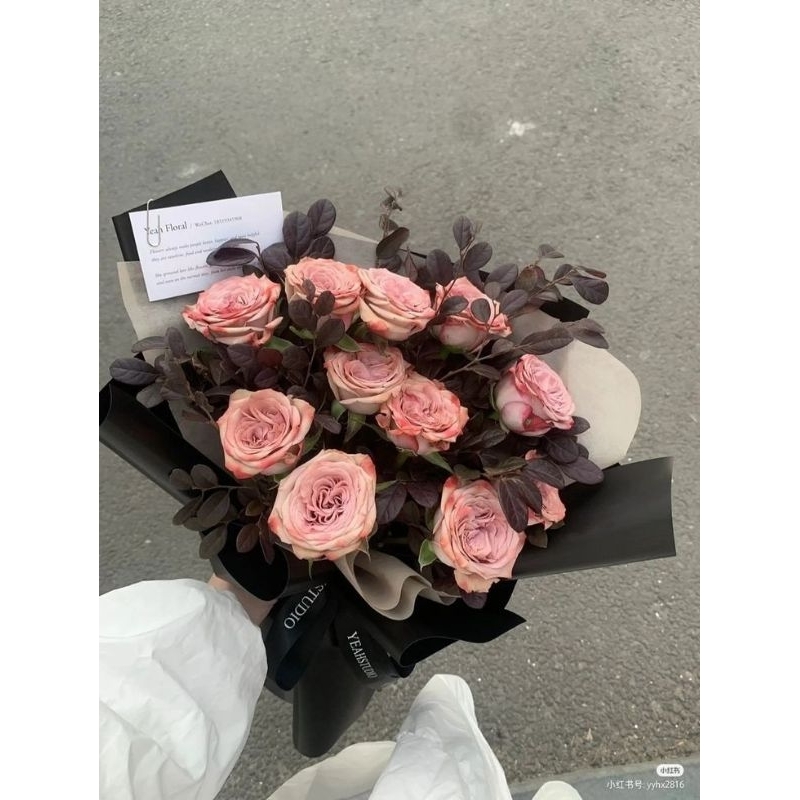 Tanaman Hias Bunga Mawar Floribunda Pink