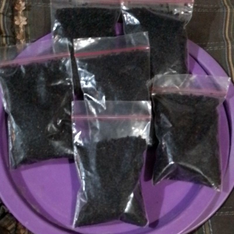 

biji selasih 9900