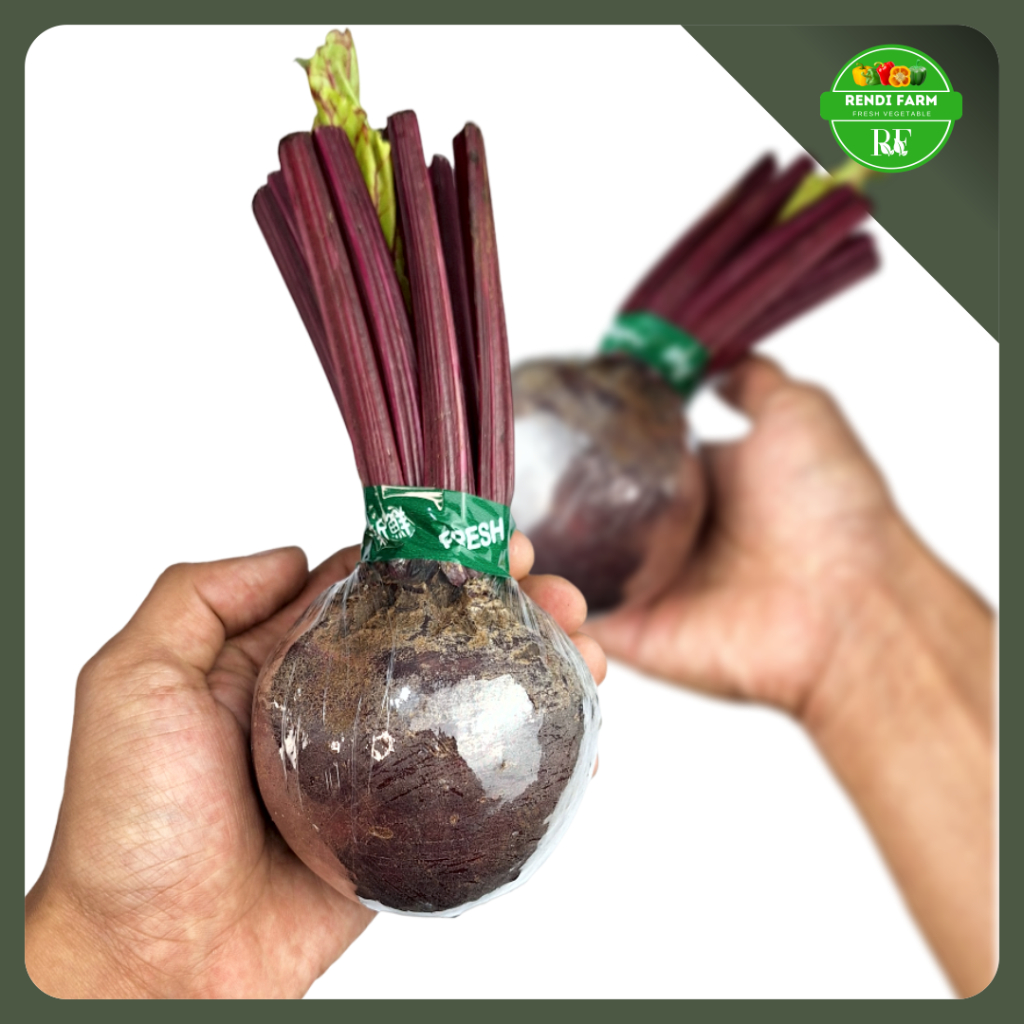 

BEET ROOT / BUAH BEET / BUAH BIT