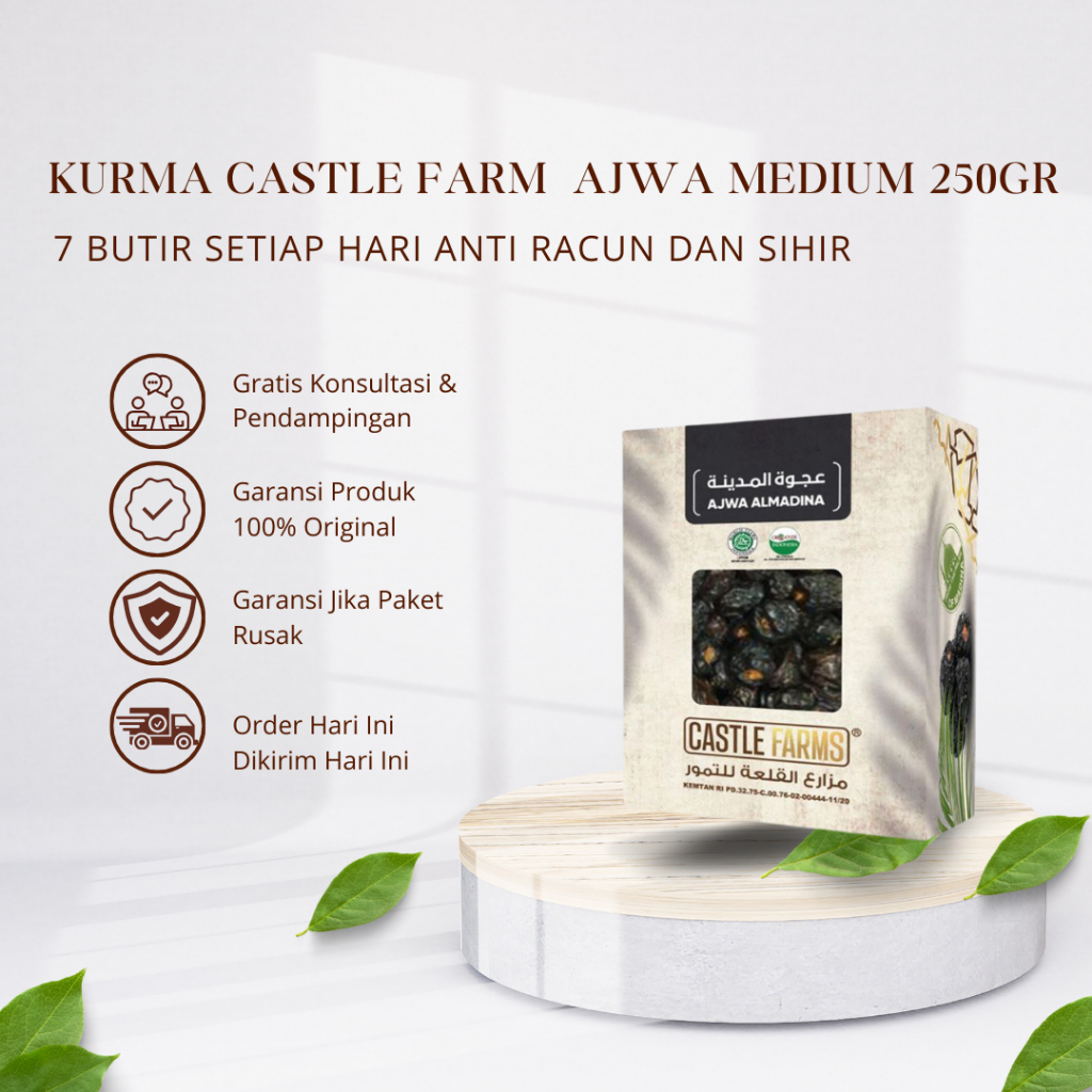 

Kurma Ajwa Castle Farm Medium 250gr Premium Organik Korma Madinah Asli