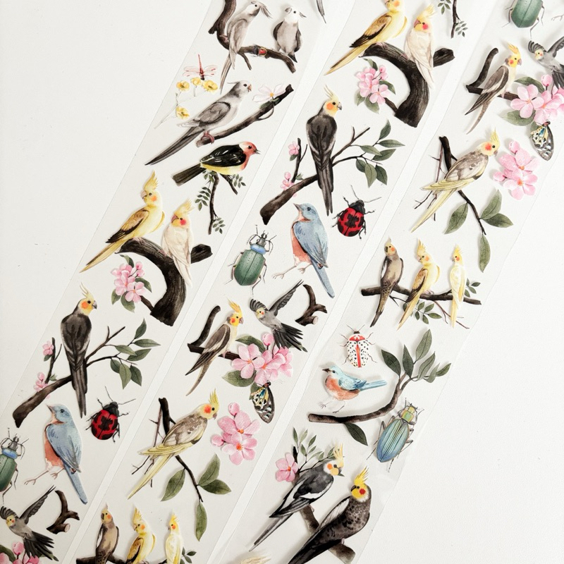 

WT Cockatiel Washi and PET Tape
