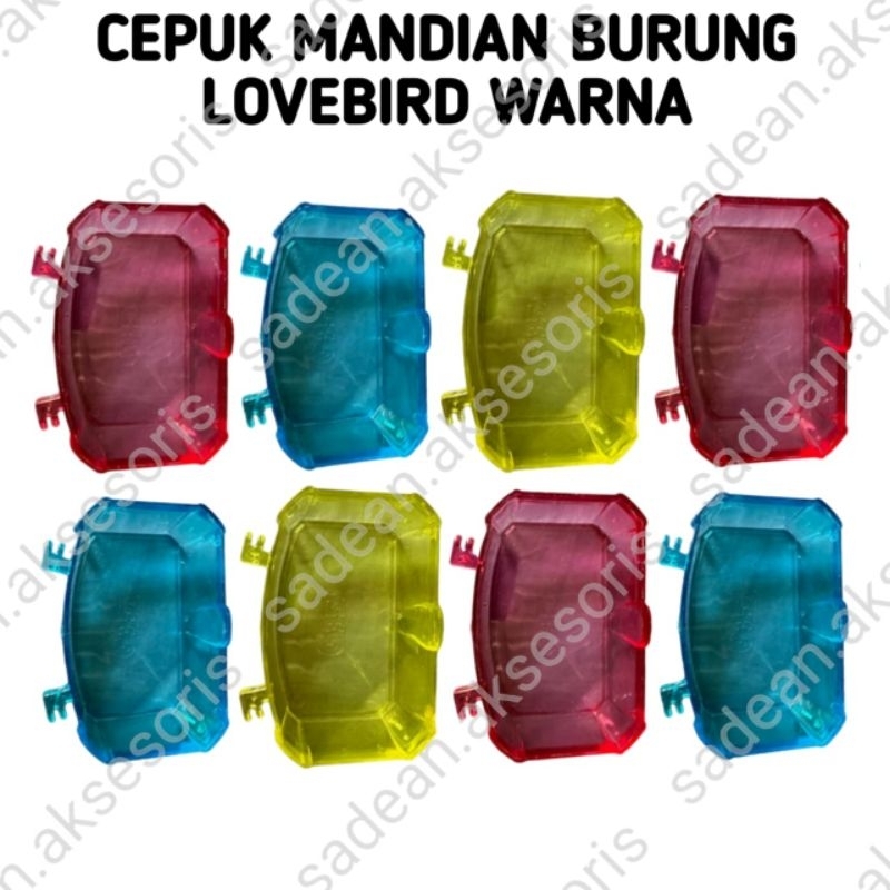 CEPUK MANDI BURUNG LOVEBIRD WARNA BENING