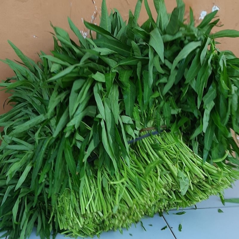 

Kangkung Segar 2 Ikat