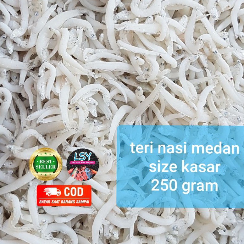 

VSC128 PENJUALAN CEPATBEST SELLER ikan asin Teri nasi medan super tn putih size jumbo 25gr