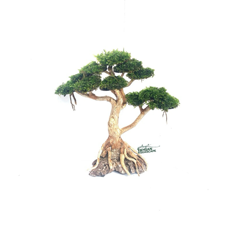 BONSAI AQUASCAPE MINIATUR AKSESORIS AKUARIUM SIMPLE MINI + BONUS MOSS