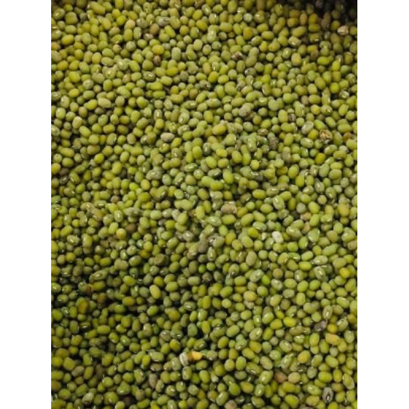 

KACANG HIJAU AUSTRALI KUALITAS SUPERR
