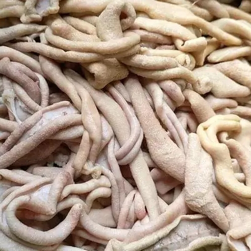 

usus ayam
