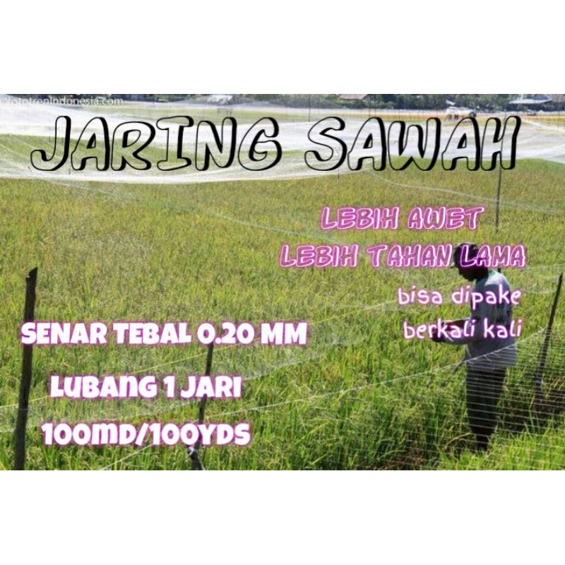jaring sawah lubang 1 jari senar tebal 0.20 jaring burung pipit jaring burung emprit jaring padi jar