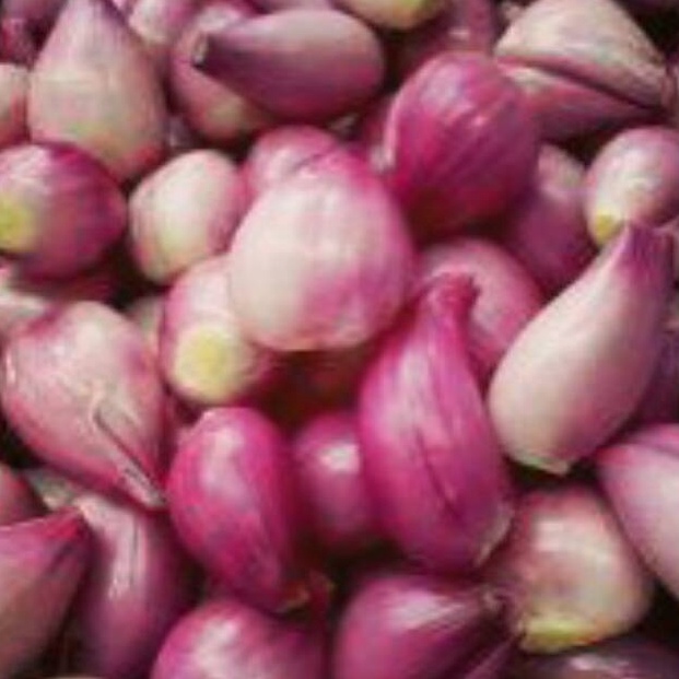 

BNP564 Bawang Merah Kecil Kupas 5 gr