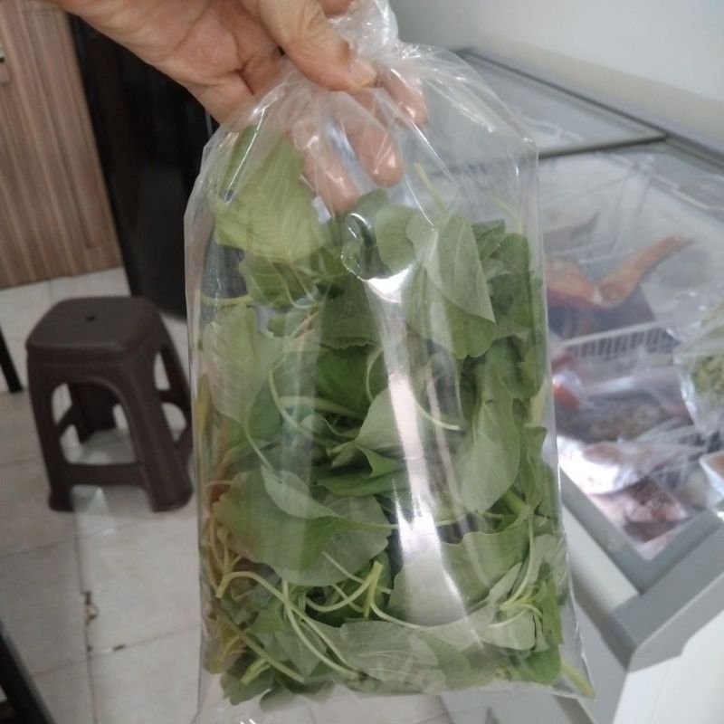 

Bayam hidro petik
