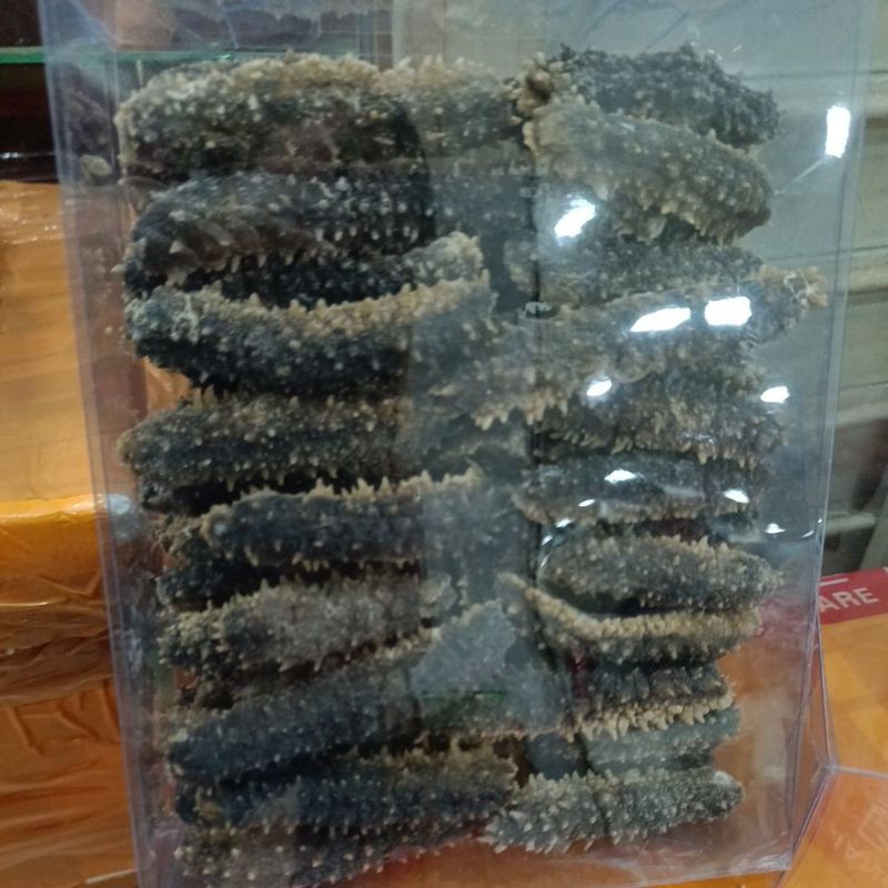 

teripang duri kering 500 gr isi 45.50 ekor